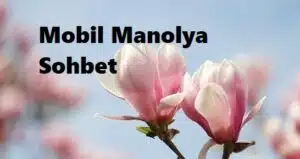 MobilManolya Sohbet Odası